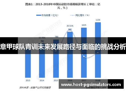 意甲球队青训未来发展路径与面临的挑战分析