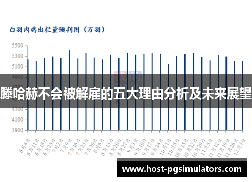 滕哈赫不会被解雇的五大理由分析及未来展望