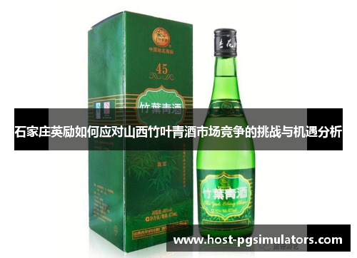 石家庄英励如何应对山西竹叶青酒市场竞争的挑战与机遇分析
