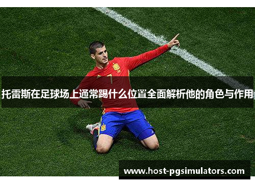 托雷斯在足球场上通常踢什么位置全面解析他的角色与作用