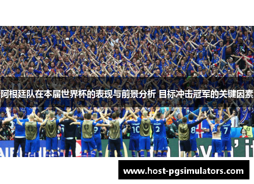 阿根廷队在本届世界杯的表现与前景分析 目标冲击冠军的关键因素