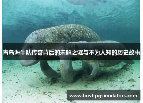 青岛海牛队传奇背后的未解之谜与不为人知的历史故事
