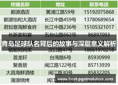 青岛足球队名背后的故事与深层意义解析