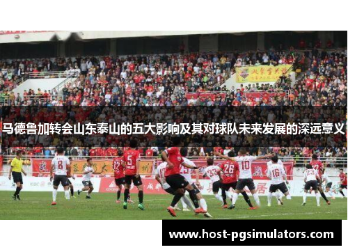 马德鲁加转会山东泰山的五大影响及其对球队未来发展的深远意义 马德鲁加转会山东泰山的五大影响及其对球队未来发展的深远意义