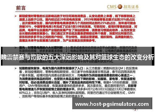 魏震禁赛与罚款的五大深远影响及其对篮球生态的改变分析