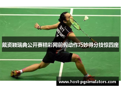 戴资颖瑞典公开赛精彩网前假动作巧妙得分技惊四座