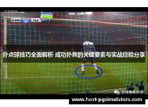 扑点球技巧全面解析 成功扑救的关键要素与实战经验分享